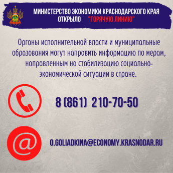 Министерство экономики Краснодарского края открыло "Горячую линию"